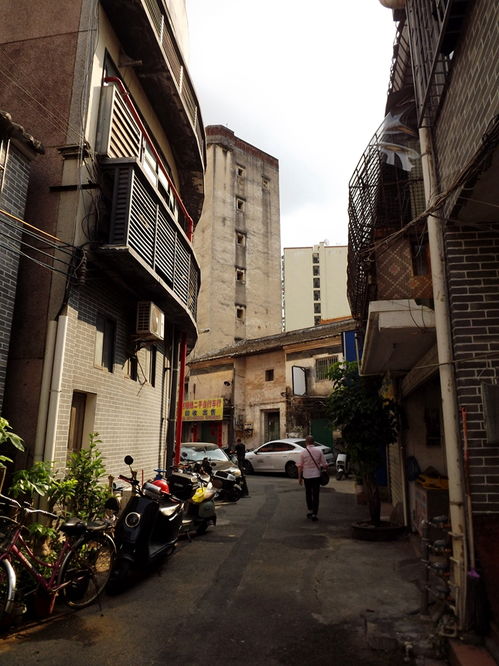 观澜古墟 城乡结合部