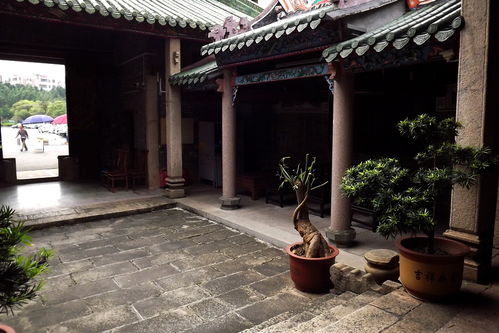 沙井壆岗村 古村的一抹印迹