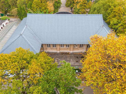 贵州大学东校区历史建筑群丨被鸠占鹊巢的老民族学院古典建筑