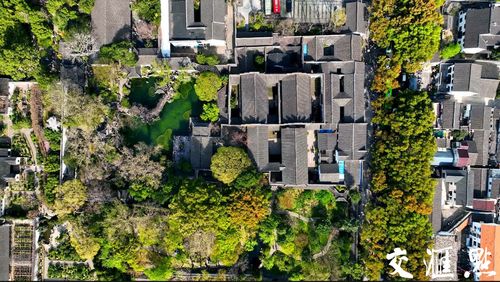 文化中国行 春花古建两相宜 一树山茶映留园,古韵姑苏今胜昔