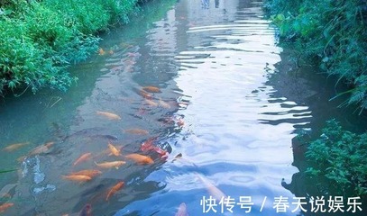 你去过屏南的古村落吗