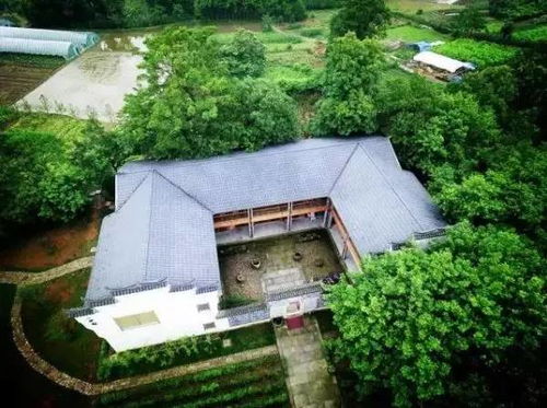 76年大叔为寻儿时记忆,在900m烟雨长廊打造梦幻家园,乌篷船萤火虫留住旧时光