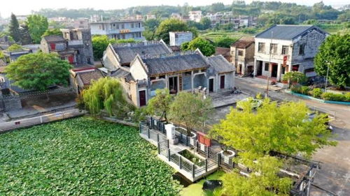 跑马拉松,赏古村风光 750余年鲜卑古村落办起马拉松比赛