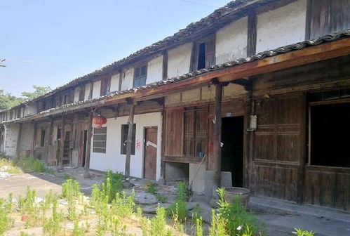 宁波城郊惊现 废弃 古村落,风景秀丽空无一人,究其原因是好事