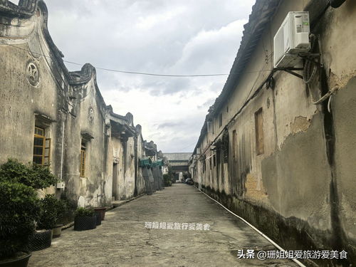 一个家建773间房 普宁洪阳发现清代 豪宅 ,潮汕罕见古寨遗存