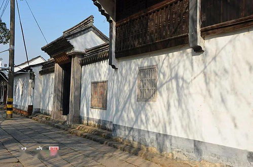 曾绍兴第一豪宅坐落在此 古河 古桥 台门...市中心这条熟悉的小路不寻常
