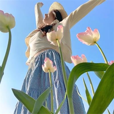 蓝鹭 电影海报